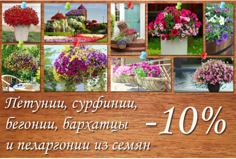 - 10% на семена цветов!