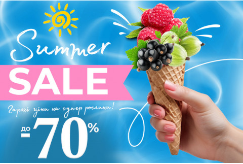 Summer Sale