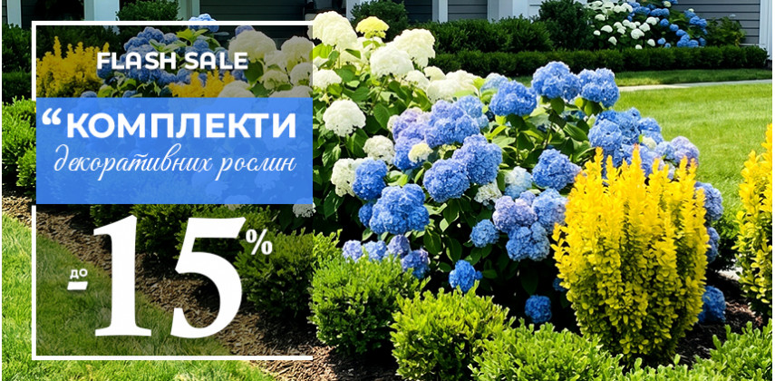 Комплекти саджанців декоративних рослин