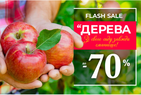 Акція на плодові дерева — знижки до 70%