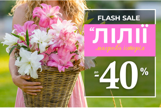 Цибулини махрових лілій - знижки до 40%