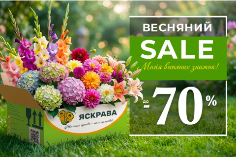 Весняні пропозиції - до -70%