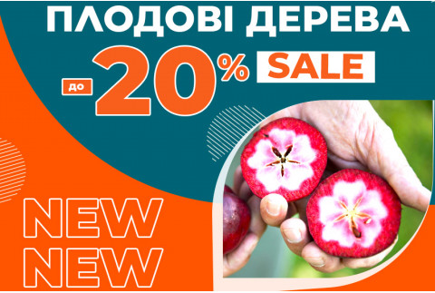 Замовляйте Плодові дерева зі Знижками до -20%