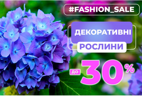 Декоративні кущі для саду: знижки до -30%