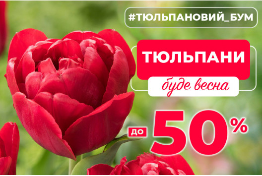 Тюльпани зі знижками до -50%