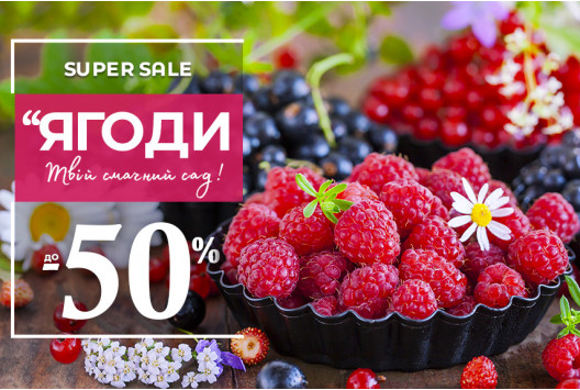 Ягідний Рай: Знижки -50% на Саджанці Плодових Кущів!