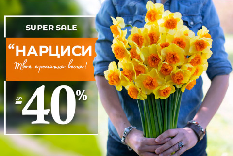 Super sale - Нарциси до -40%