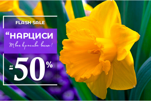 Flash sale - Нарциси до -50%