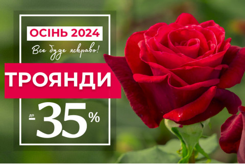 Троянди зі знижкою до -35%