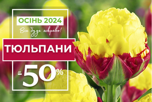 Тюльпани зі знижками до -50%