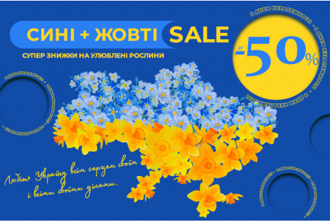 Жовто-Блакитний Sale