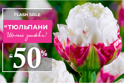 Тюльпани зі знижками до -50%