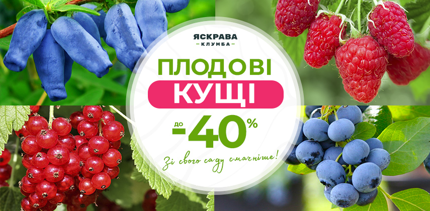 Осіння вигода на всі плодові кущі — до -40%