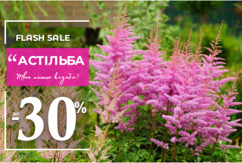 Кольоровий акцент для саду зі знижкою до –30%