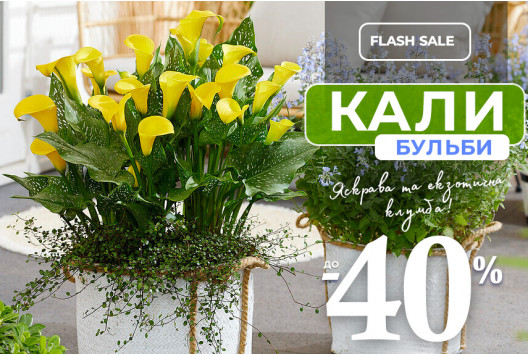 Трендова та екзотична клумба