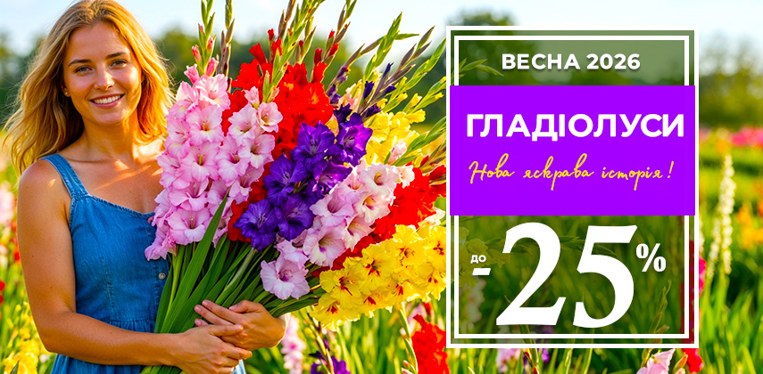 Відкриття сезону! Цибулини гладіолусів –25%