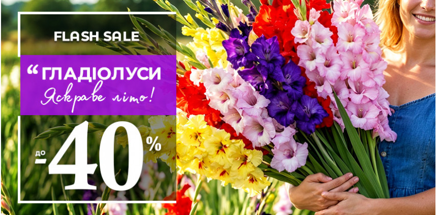 Відкриття сезону! Цибулини гладіолусів –40%