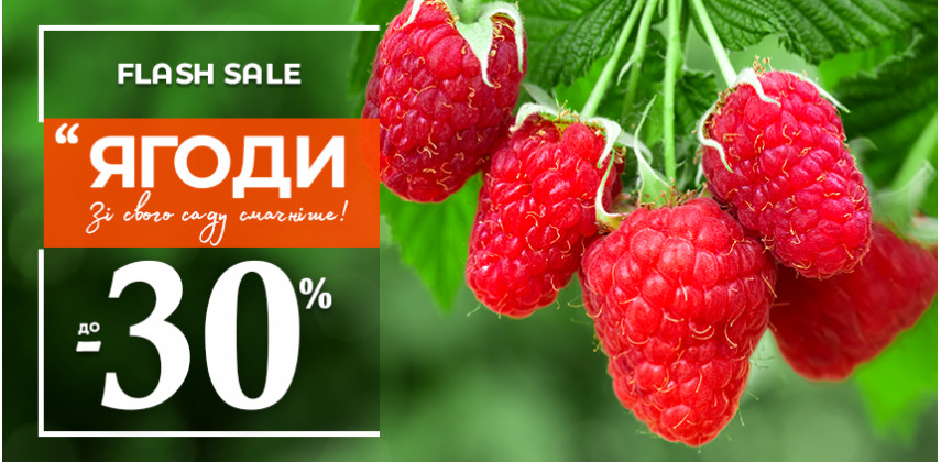 До -30% на саджанці ягід