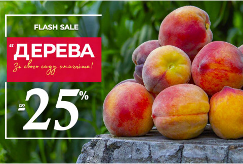 Саджанці плодових дерев зі знижками