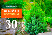 Вічнозелений розпродаж: до -30% на хвойні!