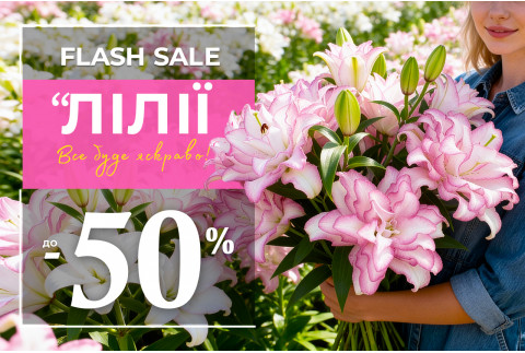 Відкриття сезону лілій — знижки до -50%!