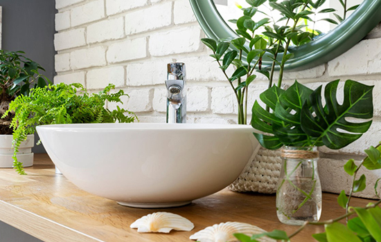 Рослини для ванної кімнати: як вибрати і в чому перевага