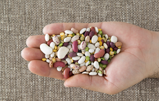 Найкраща квасоля для городу: перевірені врожайні сорти