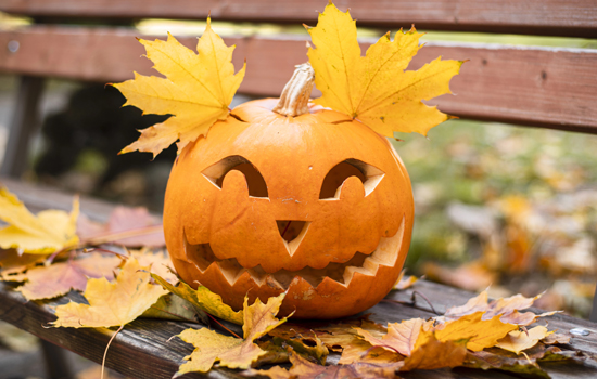 Найкращі сорти гарбузів для Хелловіну, які можна виростити в Україні 