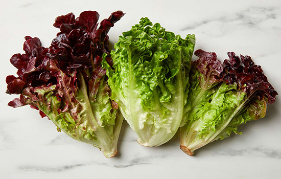 Сорти салату без гіркоти: найсоковитіші, найсмачніші і найбільш хрусткі