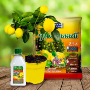 Комплекты для цитрусовых растений