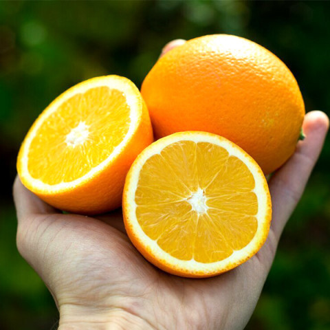 Апельсин Навелина контейнер 2 л