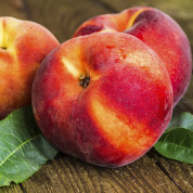 10 найкращих сортів персика