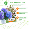 Тюльпан Махровий Monte Peony
