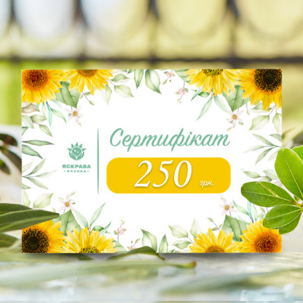 Подарочный сертификат на 250 грн.