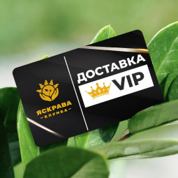 Карта безкоштовної доставки VIP (1 рік)