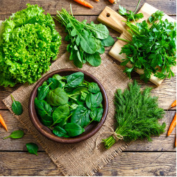 Комплект семян Зелень без остановки