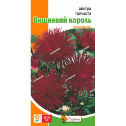 Айстра голчаста Вишневий Король 0.3 г