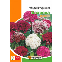 Гвоздика Турецька махрова 3 г