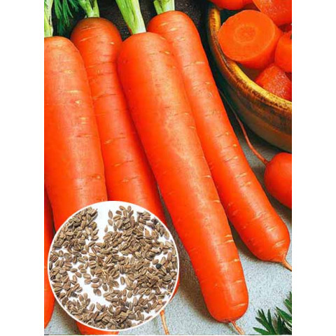 Морковь Перфекция (семена) 100 г