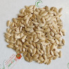 Огурец Парижский корнишон (семена) 50 г