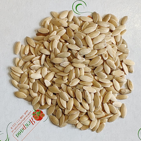 Огурец корнишон Анулька F1 (семена) 50 г