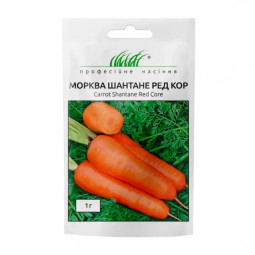 Морква Шантане Ред Кор 1 г
