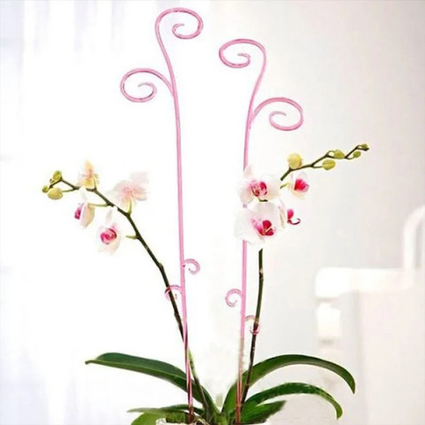 Підпорка для орхідей прозора