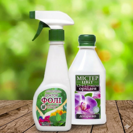 Комплект Красавица орхидея