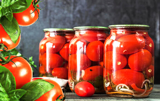 ТОП-6 томатов для засолки и консервирования: выращиваем рассаду, радуемся урожаю, наслаждаемся вкусом