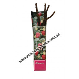 Малина Атлант (новинка)