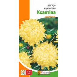 Айстра карликова Ксантіпа 0.3 г