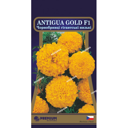 Чорнобривці низькорослі Antigua Gold F1 (гігантські) 5 насінин