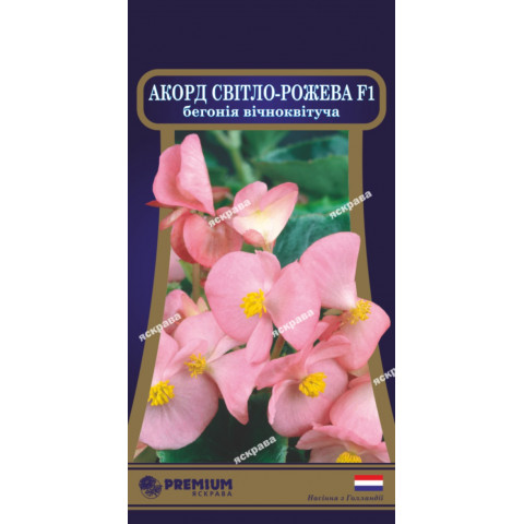 Бегония вечноцветущая Аккорд Светло-розовая F1 (10 семян в оболочке)