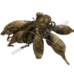 Георгина Помпонная Little Robert